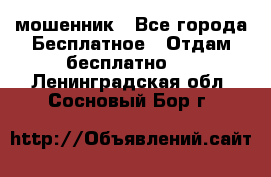 мошенник - Все города Бесплатное » Отдам бесплатно   . Ленинградская обл.,Сосновый Бор г.